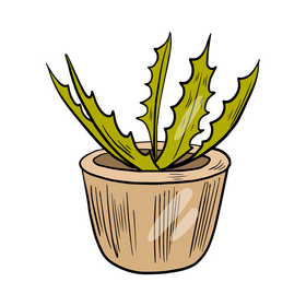 Cartoon flower in a pot clipart