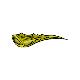 Aloe vera leaf clipart
