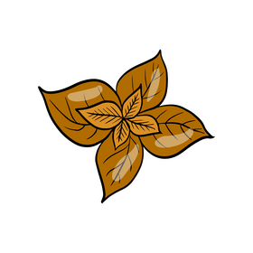 Flower illustration clipart