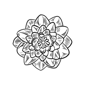 Flower for adults black and white clipart