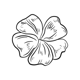 Flower drawing black and white clipart