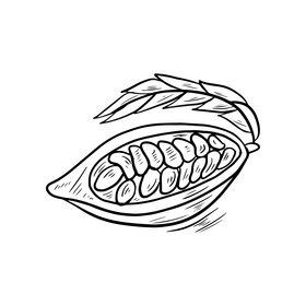 Cocoa fruit drawing black and white clipart