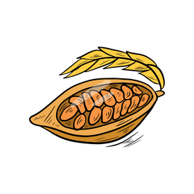 Cocoa fruit drawing clipart