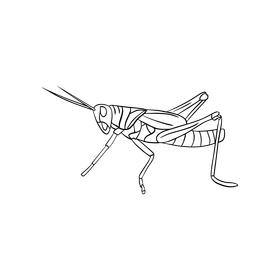 Free locust illustration black and white clipart vector free download