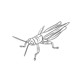 Locust black and white clipart