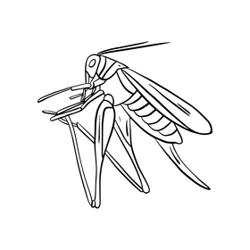 Locust cartoon black and white clipart