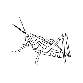 Locust black and white clipart