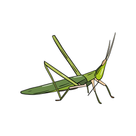 Locust clipart free download