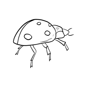 Ladybug drawing black and white clipart