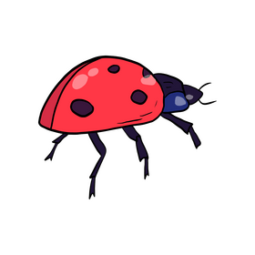 Red ladybug drawing clipart