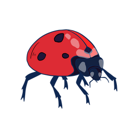 Ladybug illustration clipart
