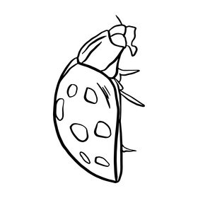 Ladybug black and white clipart