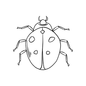 Ladybug black and white clipart