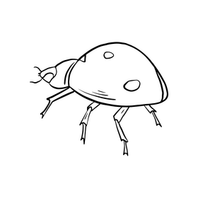 Ladybug drawing black and white clipart