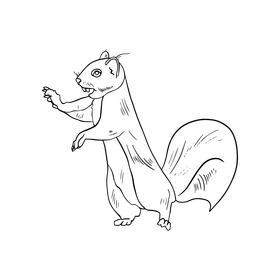 Cute squirrel drawing black and white clipart