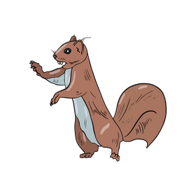 Cute squirrel drawing clipart