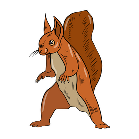 Orange squirrel drawing clipart