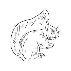 Cute squirrel black and white clipart