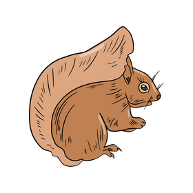 Cute squirrel clipart
