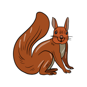Cute squirrel clipart