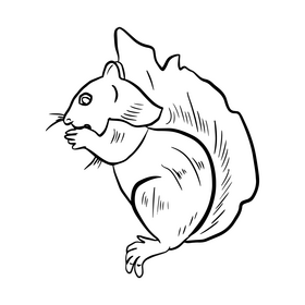 Cartoon squirrel black and white clipart
