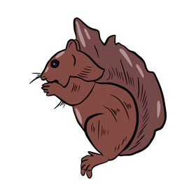 Cartoon squirrel clipart