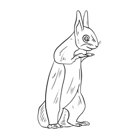 Squirrel drawing black and white clipart