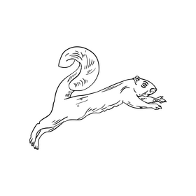 Running squirrel black and white clipart