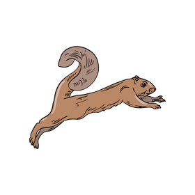 Running squirrel clipart