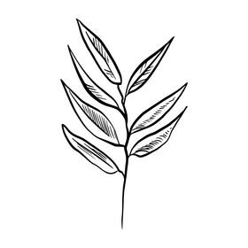 Tropical leaves black and white clipart free download