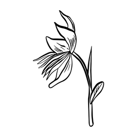 Leaves cartoon black and white clipart