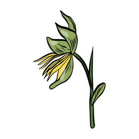 Leaves cartoon clipart