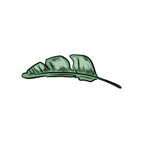 Leaf cartoon clipart