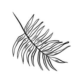 Tropic leaf drawing black and white clipart