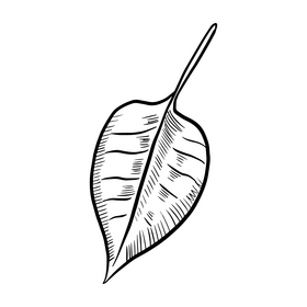 Free tropic leaf black and white clipart