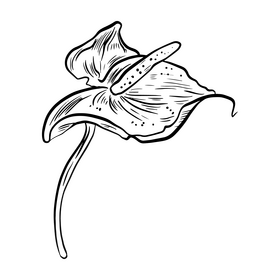 Flower leaf black and white clipart
