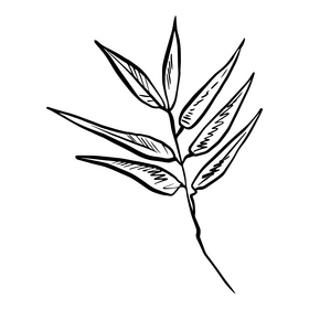 Leaf black and white clipart