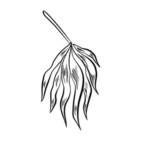 Free tropical leaves illustration black and white clipart