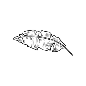 Leaf cartoon black and white clipart