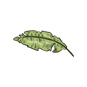 Leaf cartoon clipart