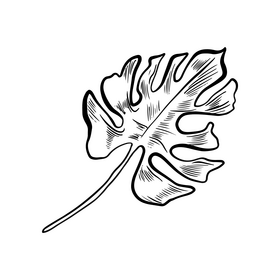 Tropical leaves illustration black and white clipart