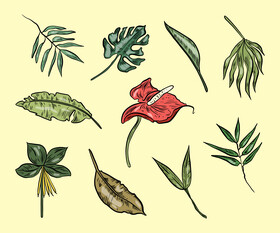 Tropical leaves vector