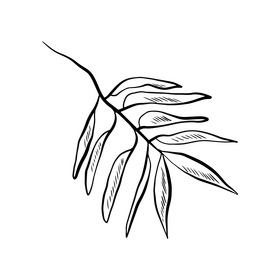 Tropical leaf illustration black and white clipart