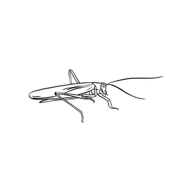 Grasshopper drawing black and white clipart