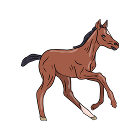 Cute horse drawing clipart