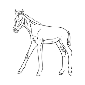 Horse illustration black and white clipart vector free download