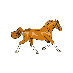 Cartoon horse clipart