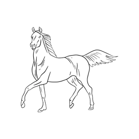 Horse animal illustration black and white clipart