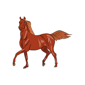 Horse illustration clipart