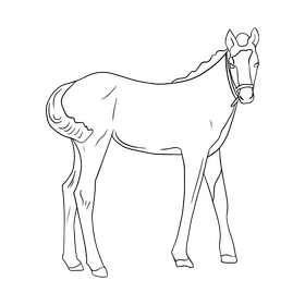 Free horse drawing black and white clipart